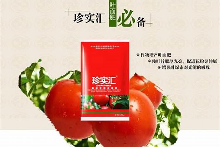 化学肥料利用率