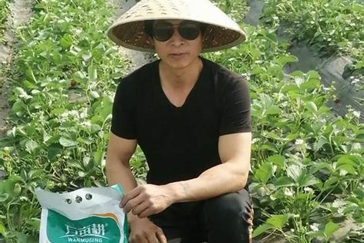 浓磷酸水溶肥的优缺点