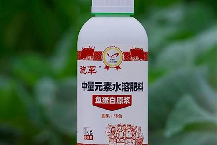 养花需要什么基质肥料最好