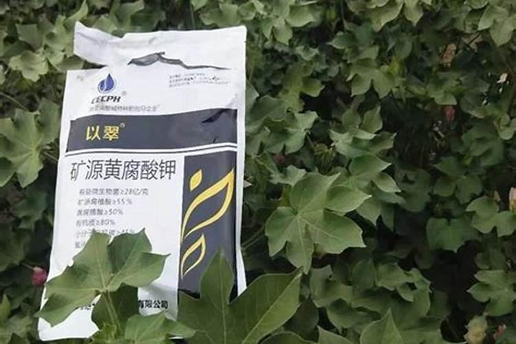 山东青上红狮复合肥怎么样？