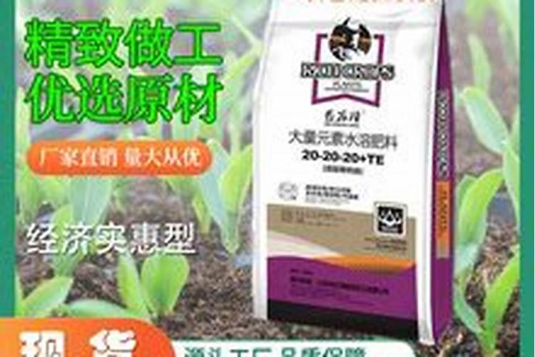 蓝宝石葡萄苗适合什么地方种植葡萄苗基地批发兰宝石哪里有蓝宝石葡萄...