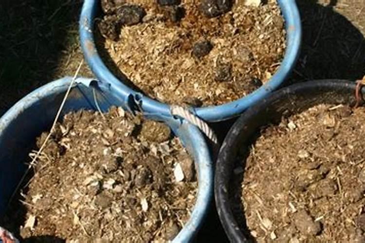 涨价预警!氮、磷、钾肥都涨价了,涨多少？鉴别假化肥的4个方法