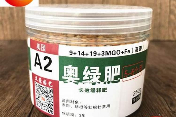 东魁杨梅花期前后用什么叶面肥好
