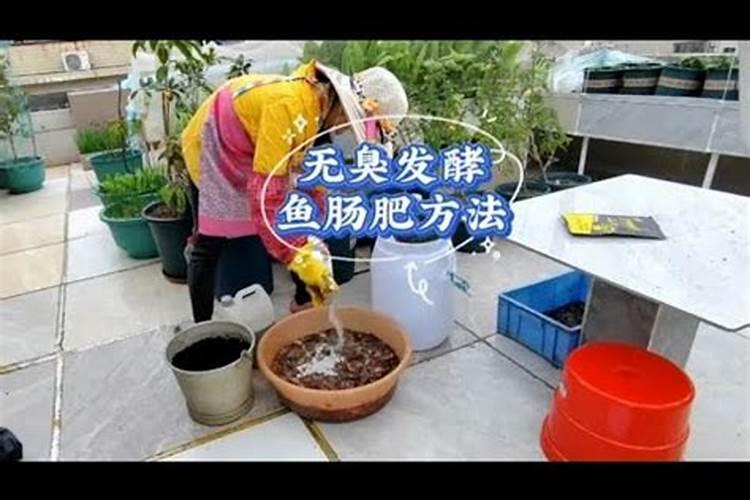 水溶肥排名前十位的有哪些品牌