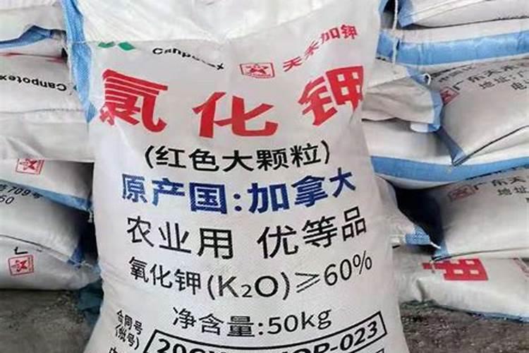 俄罗斯钾肥为什么是红色