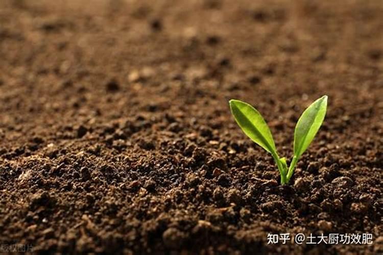 硫酸钾要怎样使用？