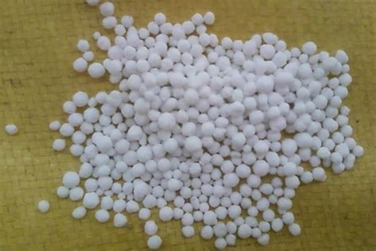 种花肥料:骨粉、马掌哪个好用