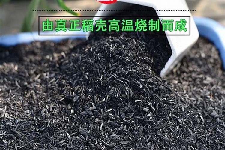 兰草花用什么肥料最好 兰花施什么肥料才能开花