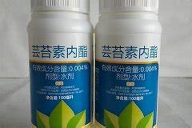碧护和芸苔素有啥区别!