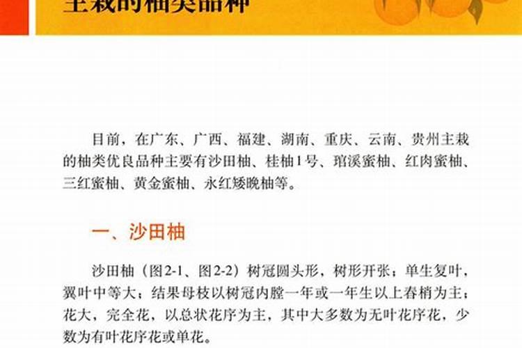 三红蜜柚的栽植技术
