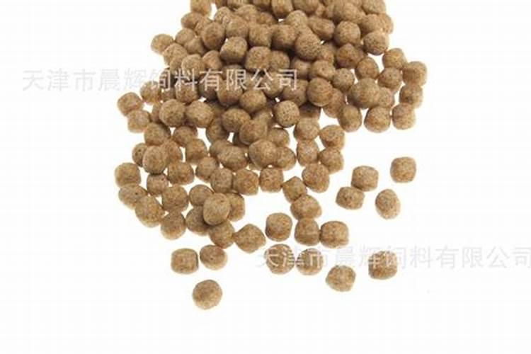 鱼蛋白自制配方比例