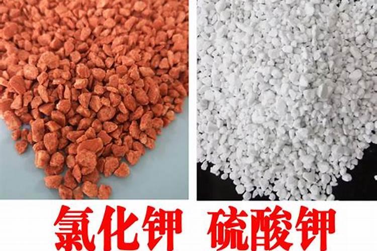 硫酸钾肥料适合种什么
