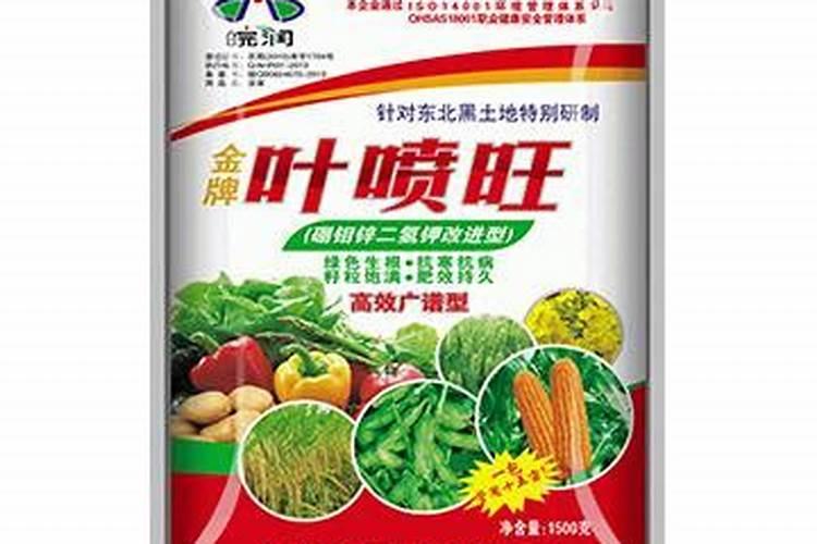 柿子树什么时候喷施钙镁硼锌铁叶面肥？