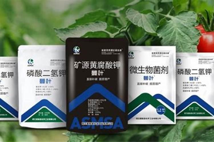 怎样自制育苗基质土育苗基质如何使用