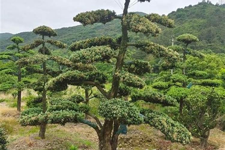氮气制氮肥对吗