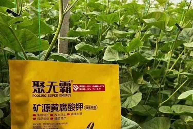 帝益肥属于什么肥料,成分有哪些