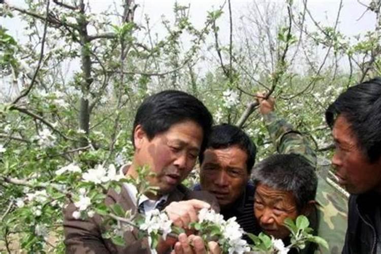 刚栽的花苗可以用营养液吗？