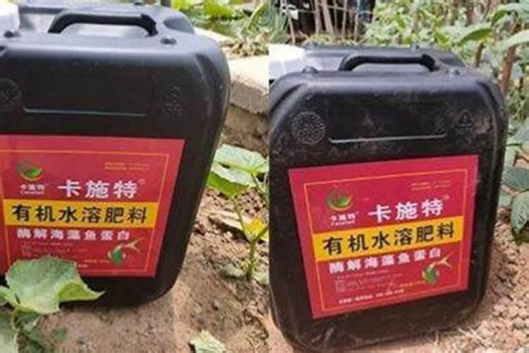 水溶性肥料的优缺点有哪些