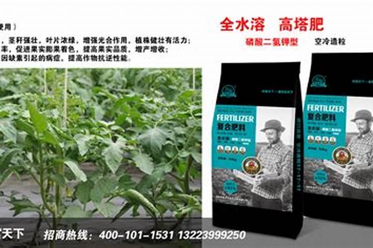 柚子树用什么肥料最好