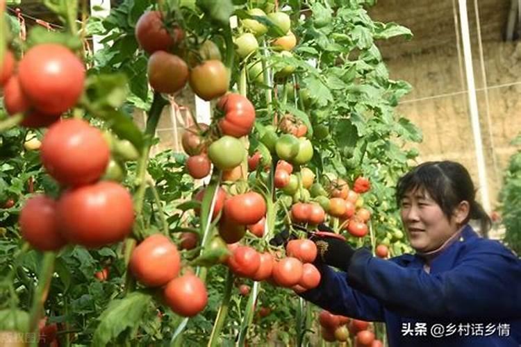过期纯巧克力有什么用途 过期纯巧克力有啥妙用