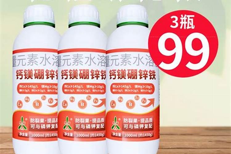 豆饼怎么发酵做肥料最简单的方法