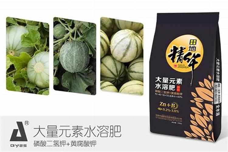 甜瓜施肥方法和施肥要求是什么