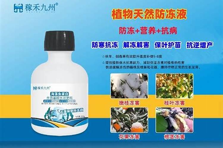 西瓜授粉用什么药