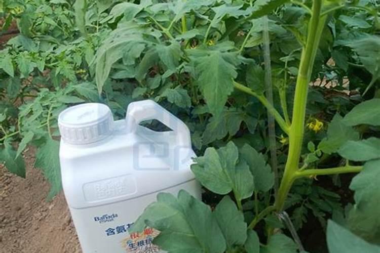 中国水溶肥的前十名 中国水溶肥的前十名是