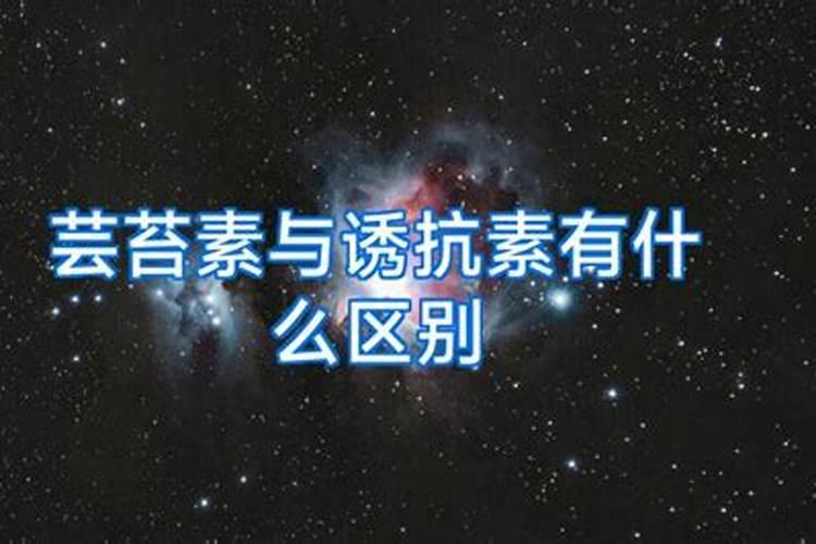 s诱抗素和芸苔素内酯那个好