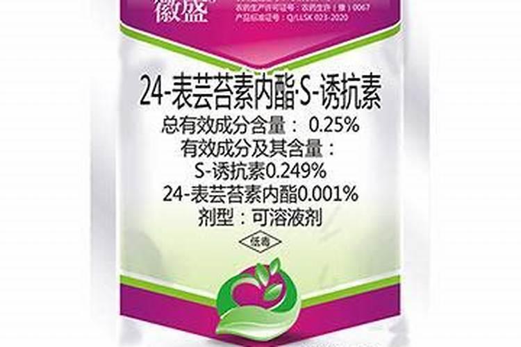 植物生长调节剂篇二——常见的调节剂