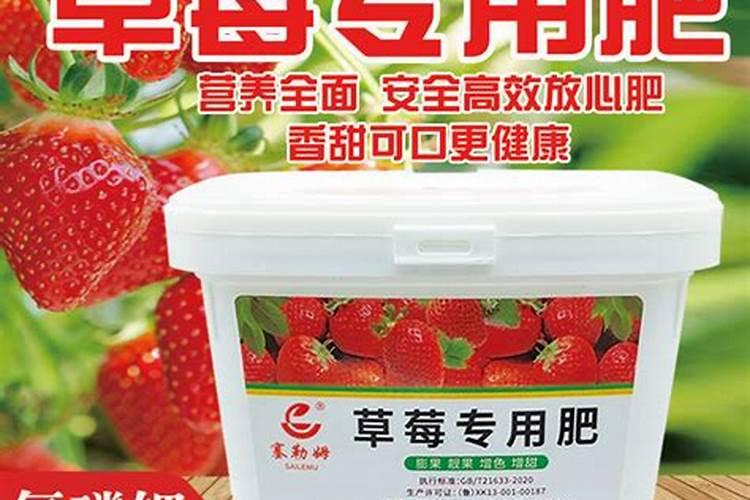 草莓种植过程需要补钙吗 草莓缺钙怎么办用什么补钙最好