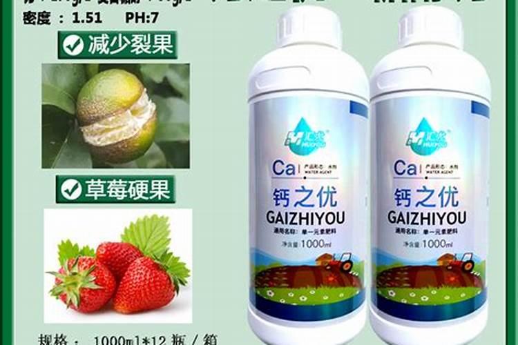 在果树上如何施用钙肥