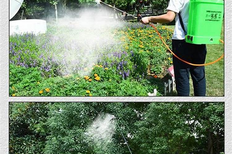 两个03叶面肥使用方法