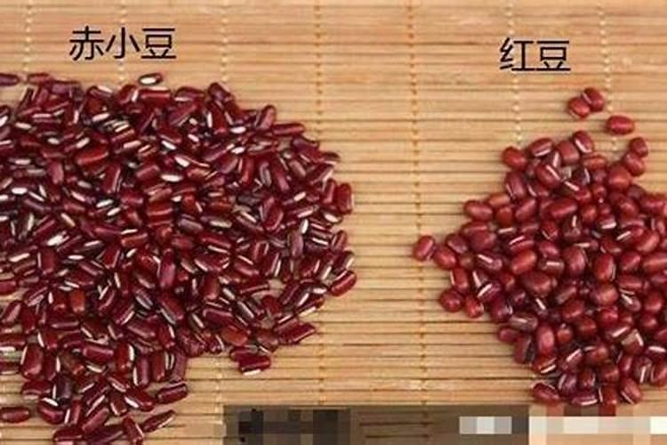 红小豆怎么种植,红小豆的种植方法？