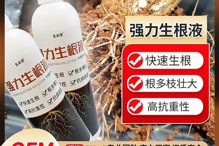 喷施叶面肥后,多长时间可以浇水？