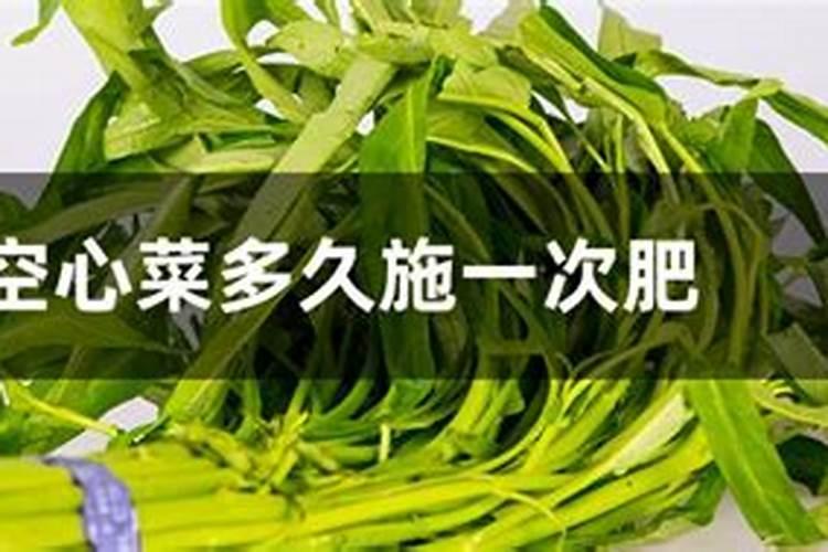 空心菜如何施肥