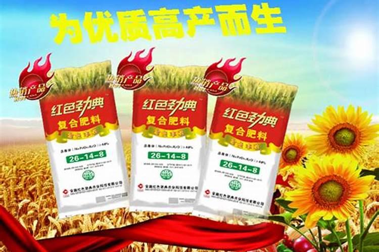 樱水晶怎么养长的好