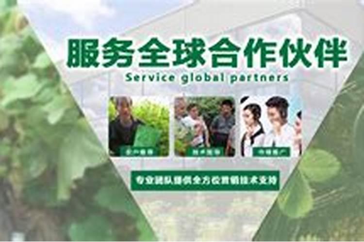 叶面肥喷施后几小时下雨不影响效果