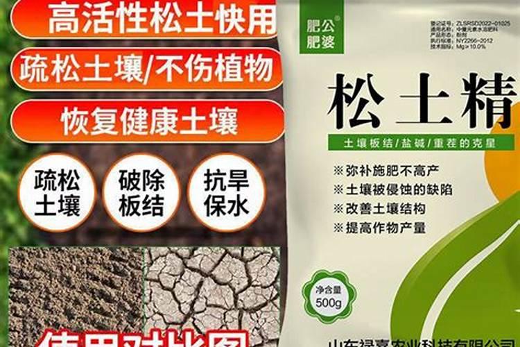 橘子树用什么肥好 施肥方法有哪些