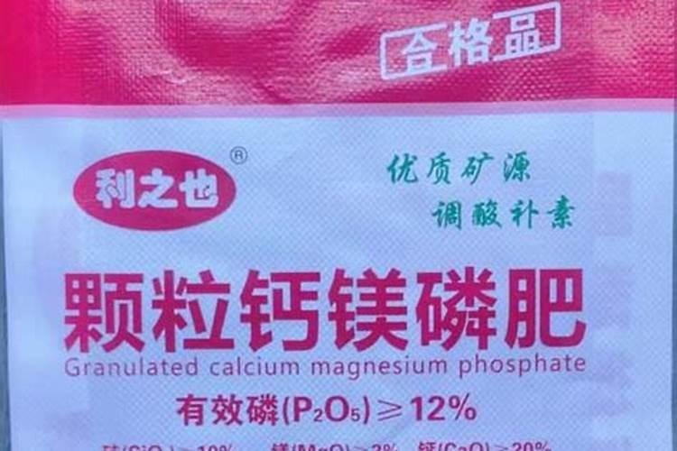 种植蔬菜想要增加产量？在施肥时都有哪些技巧？