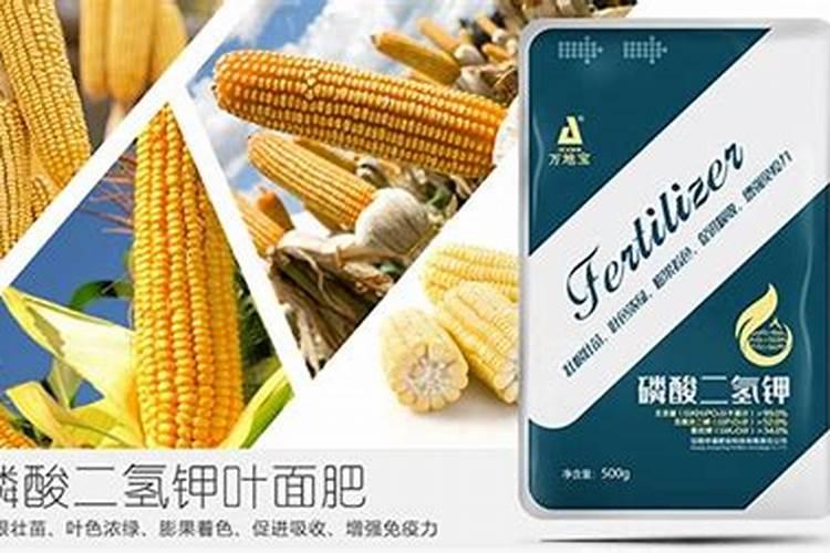 玉米专用叶面肥什么牌子好