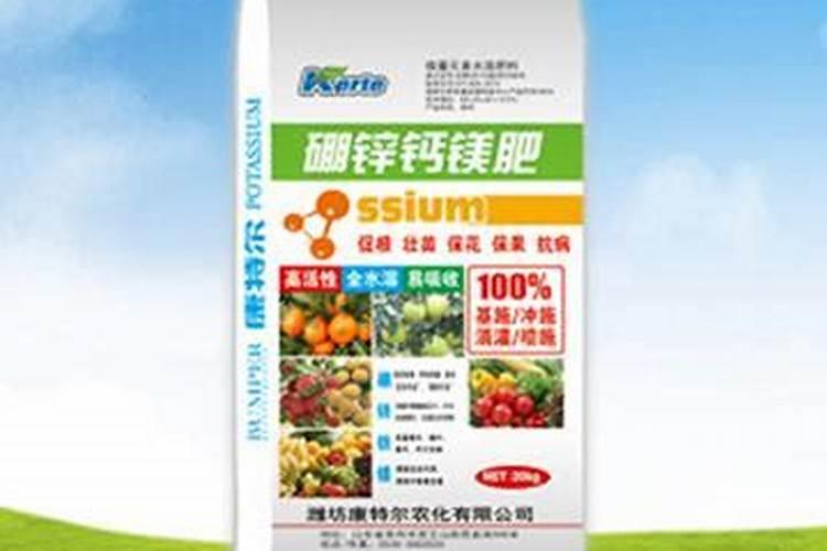 关于脐橙,有哪些好的推荐？