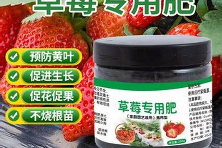 最好的草莓专用冲施肥有哪些