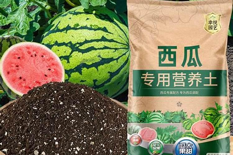 西瓜幼苗用什么肥料