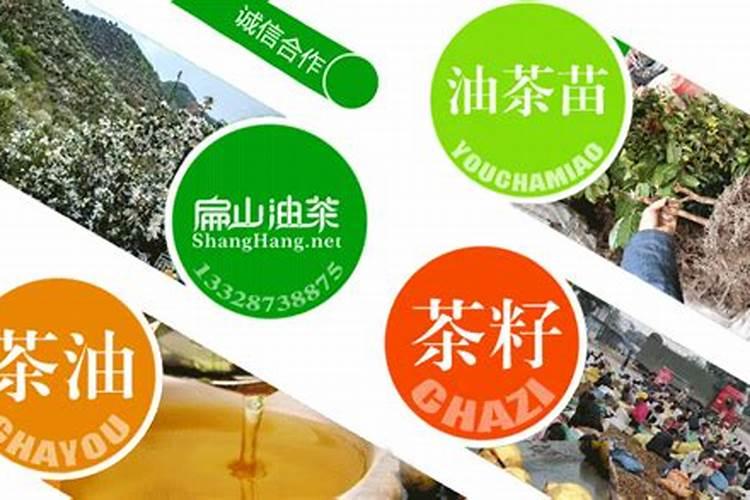 种甘蔗施什么肥料最高产？