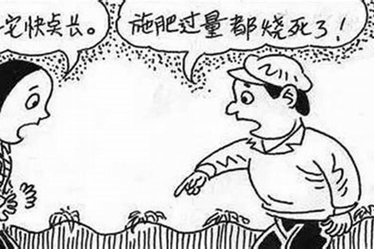草莓磷肥过量是什么症状