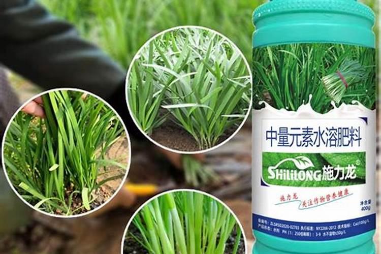 针对江苏省张家港市水稻施肥问题有哪些对策？