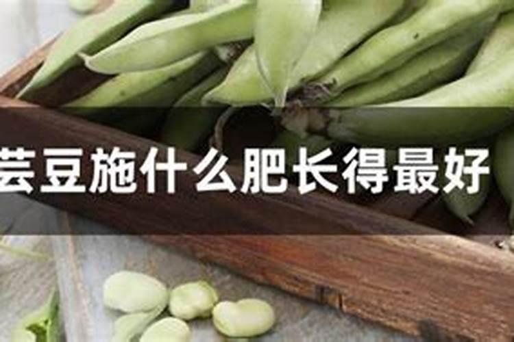 豇豆追肥用什么肥料好？