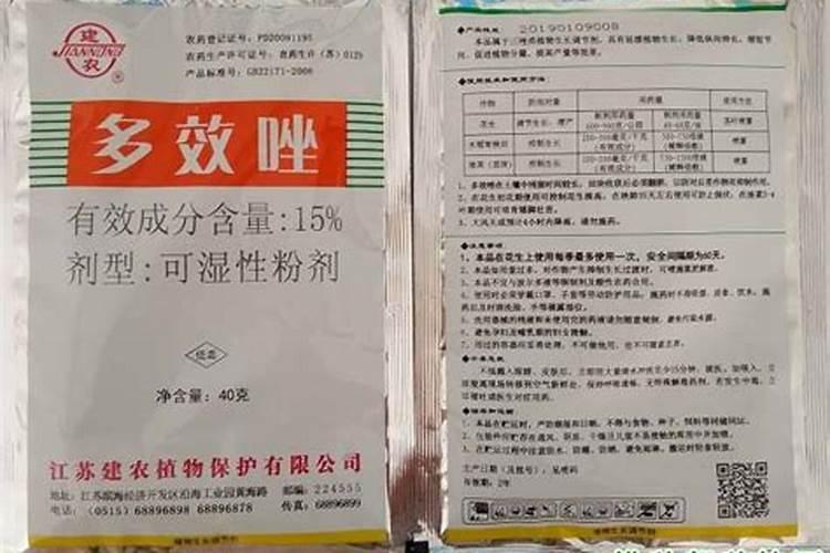 小麦狂长打矮丰和叶面肥一起使用行吗？