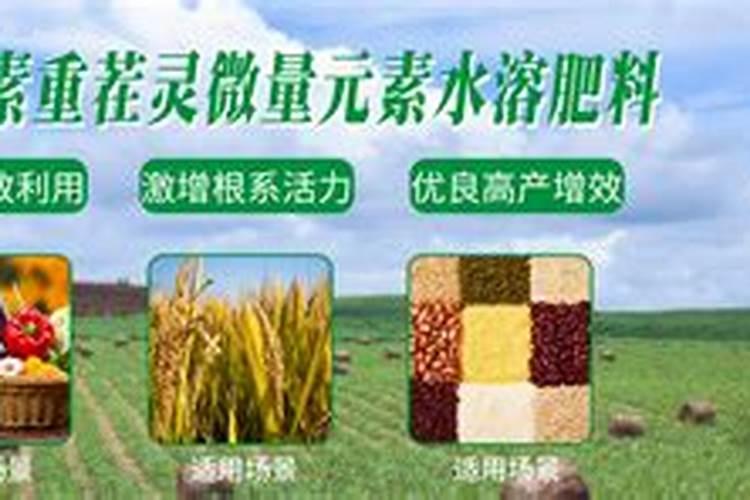 金针菇的育种方法